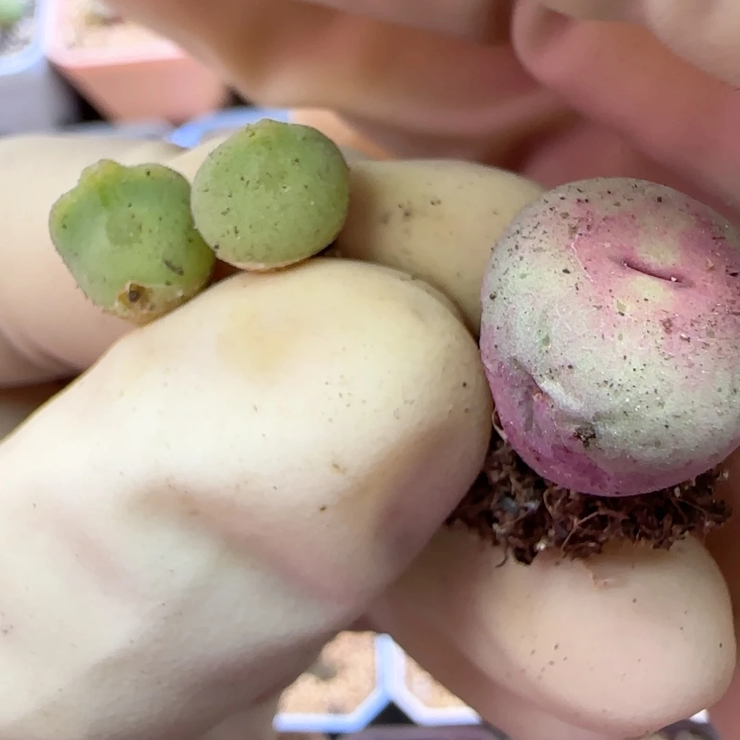 好**生241福利福利福利