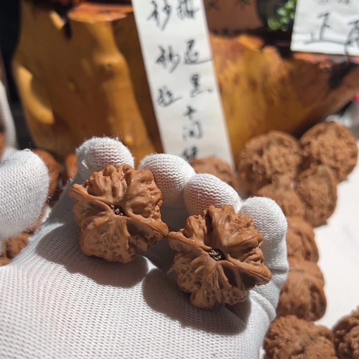 达***氏核桃全品无修 37 佛肚