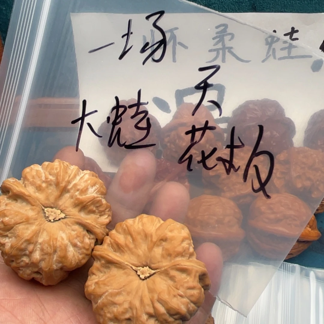 核桃我964469469649946974