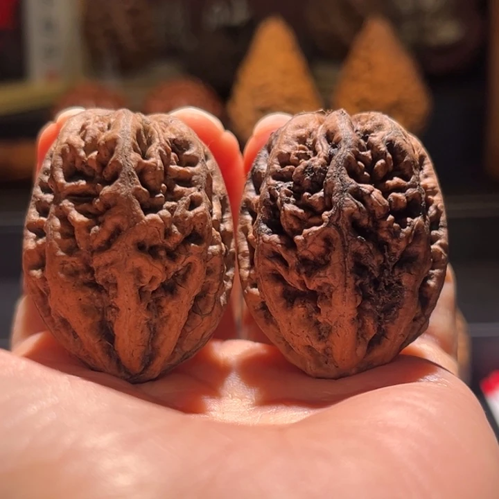 运***好文玩核桃吊坠老树珊瑚纹40