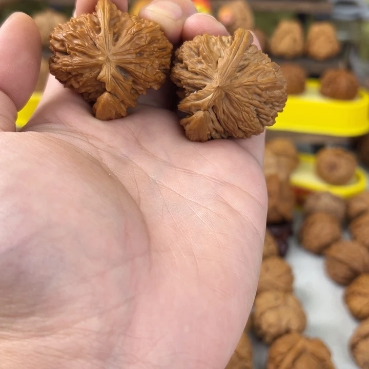 吊坠文玩核桃40尺白狮子犀牛角