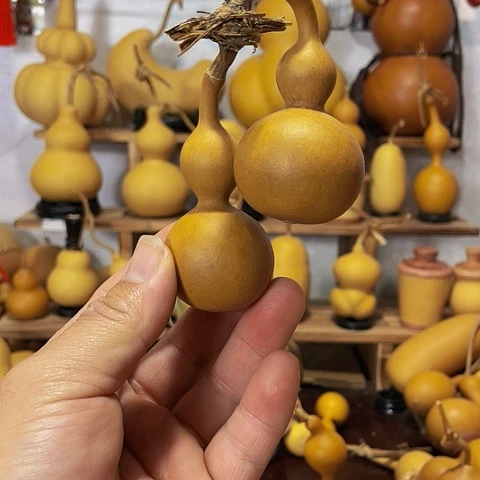 精品厚皮小八宝葫芦