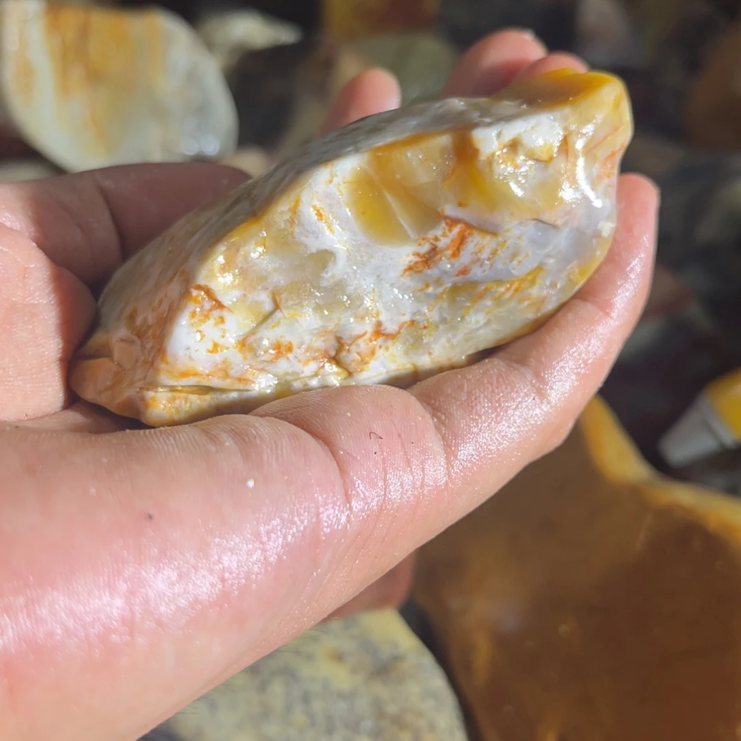 三***草寿山石8888888888888