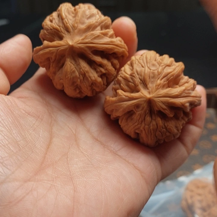 把件文玩核桃红锦鲤41尺