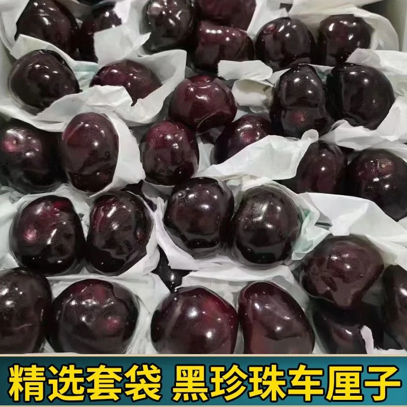 【顺丰空运】天水套袋黑珍珠大樱桃车厘子现摘当季新鲜水果黑车