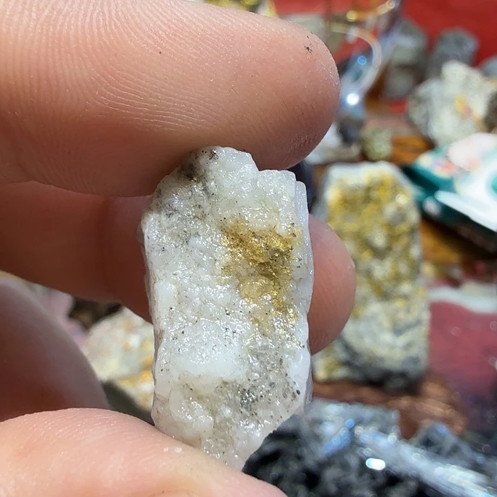 聚金阁的自然金标本