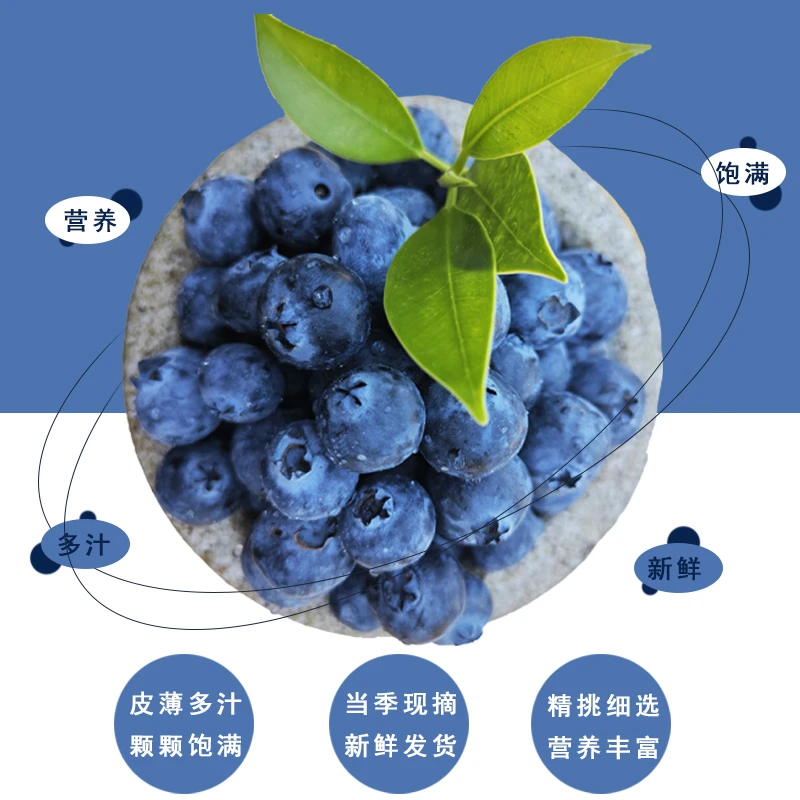 【大大果】露天头茬蓝莓 当季现摘现发孕妈宝宝即食水果 顺丰包邮xg