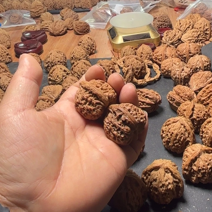 安****大叶紫檀（黑酸枝木类）