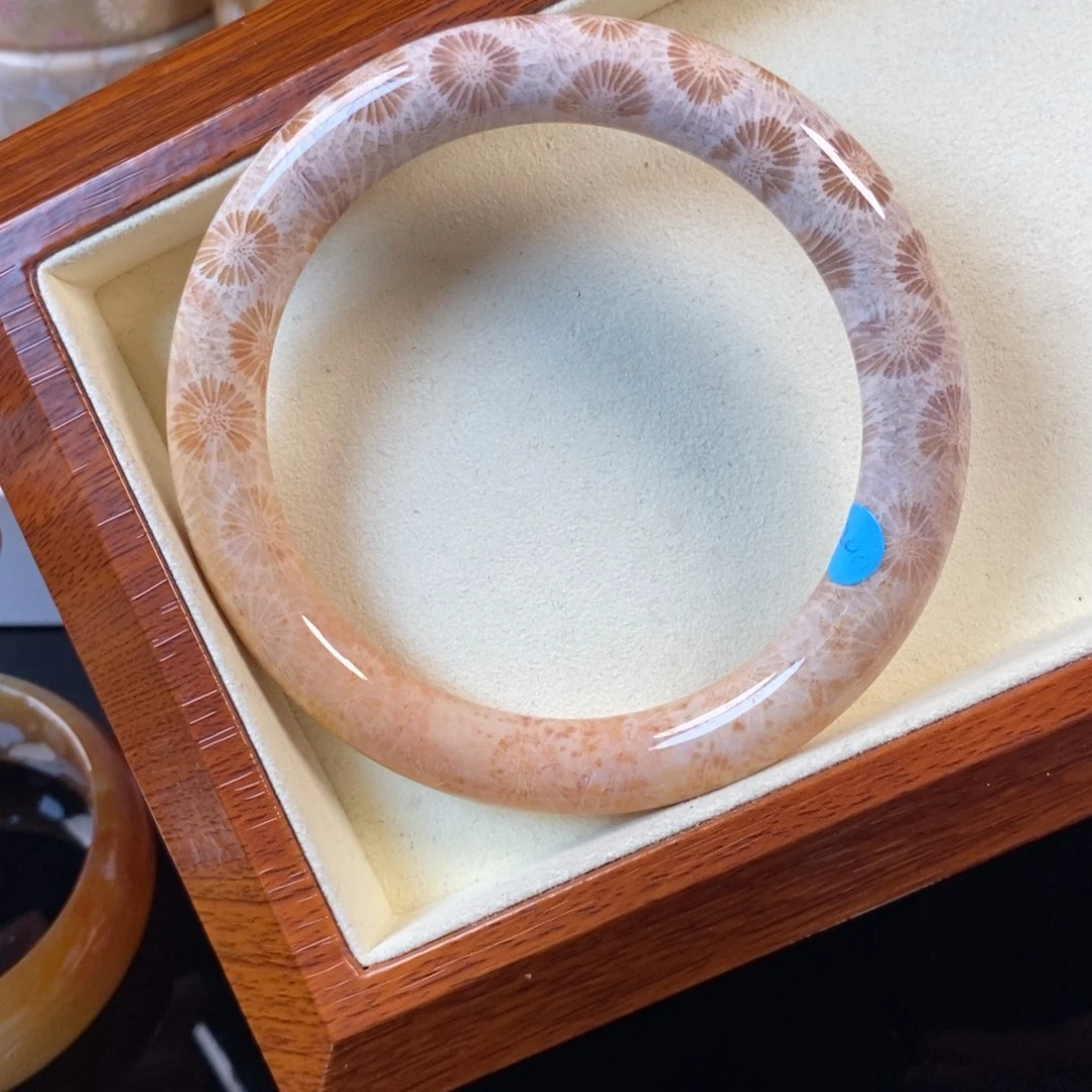 硅化珊瑚（珊瑚玉）未镶嵌颈饰60口200