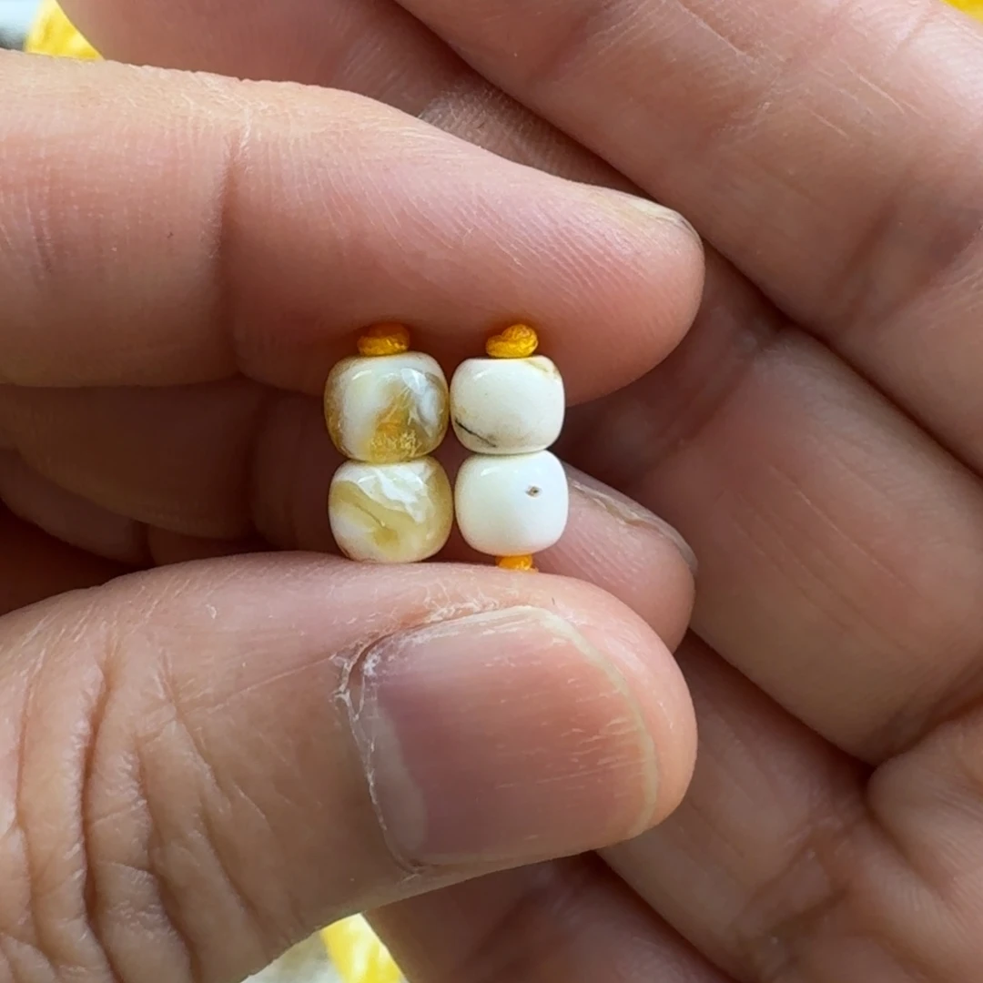 山***鱼蜜蜡未镶嵌裸石25杂