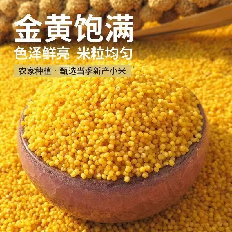 虎皮鹦鹉专用鸟粮