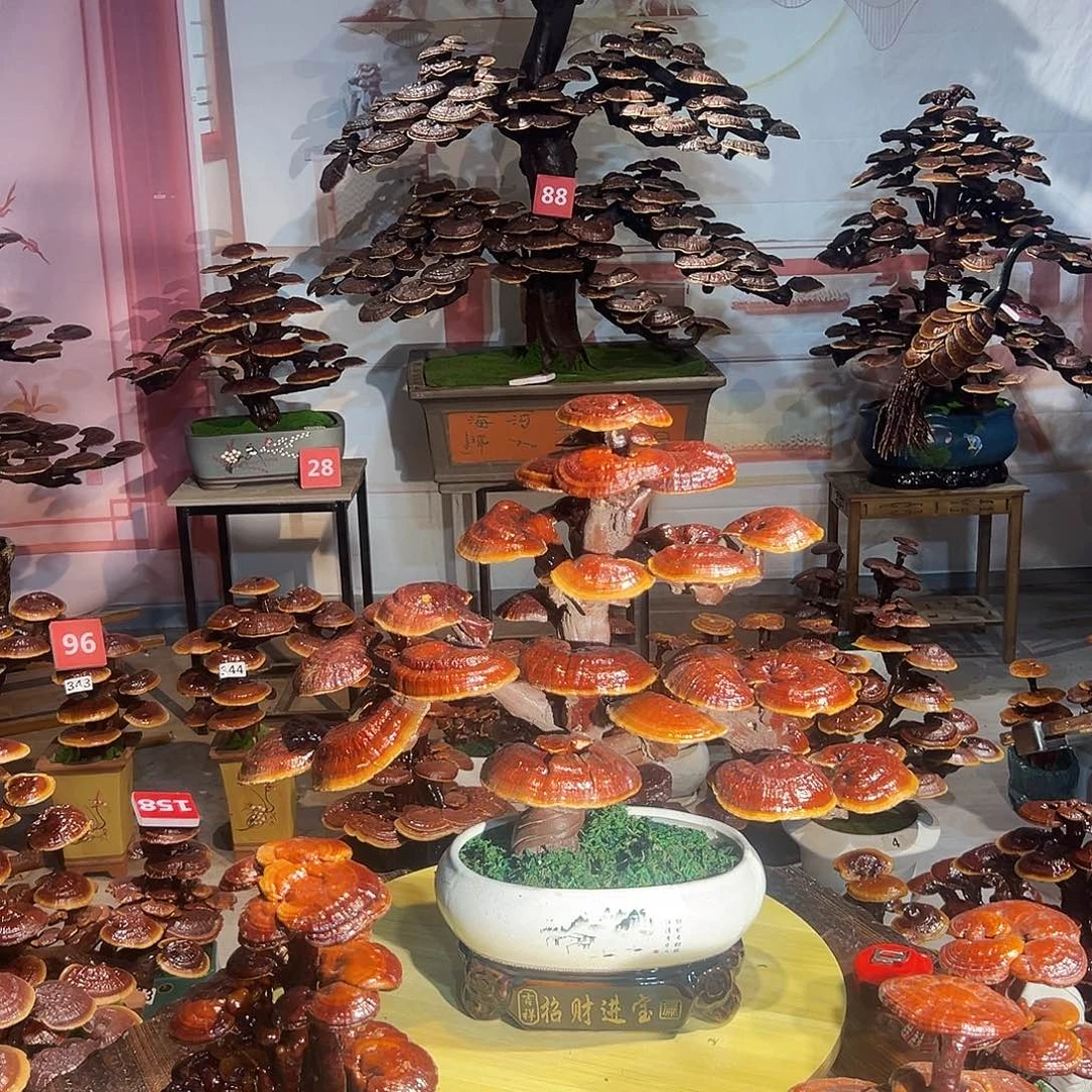 阿***太无花朵88888888888