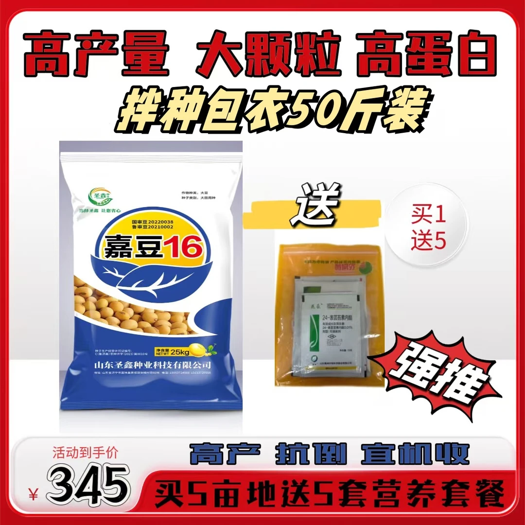 嘉豆16高蛋白大颗粒高密度抗倒伏高产夏季大豆拌种包衣50斤装