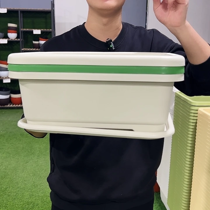 小菜盘长38宽28高15混色3只带托