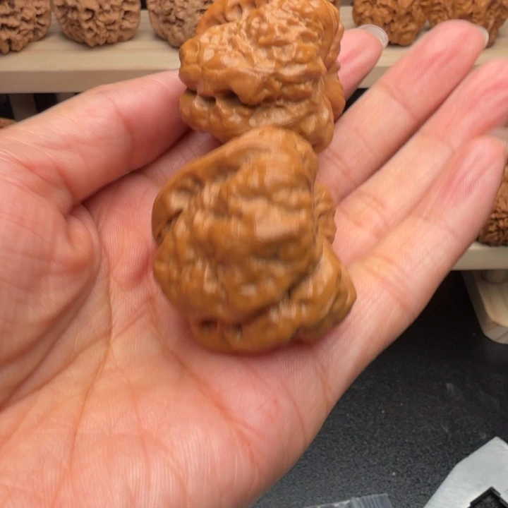 杨***瘩核桃哟哟哟哟哟哟哟哟哟哟哟