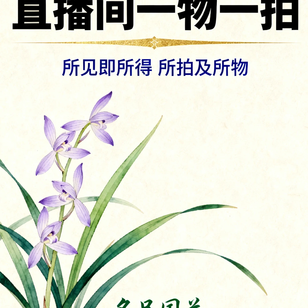 国兰名品兰花一物一拍好养易活