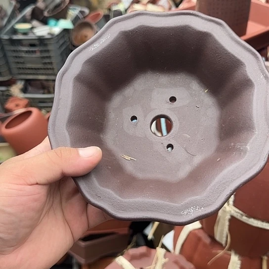 这就是为什么不在这里上班呀你要