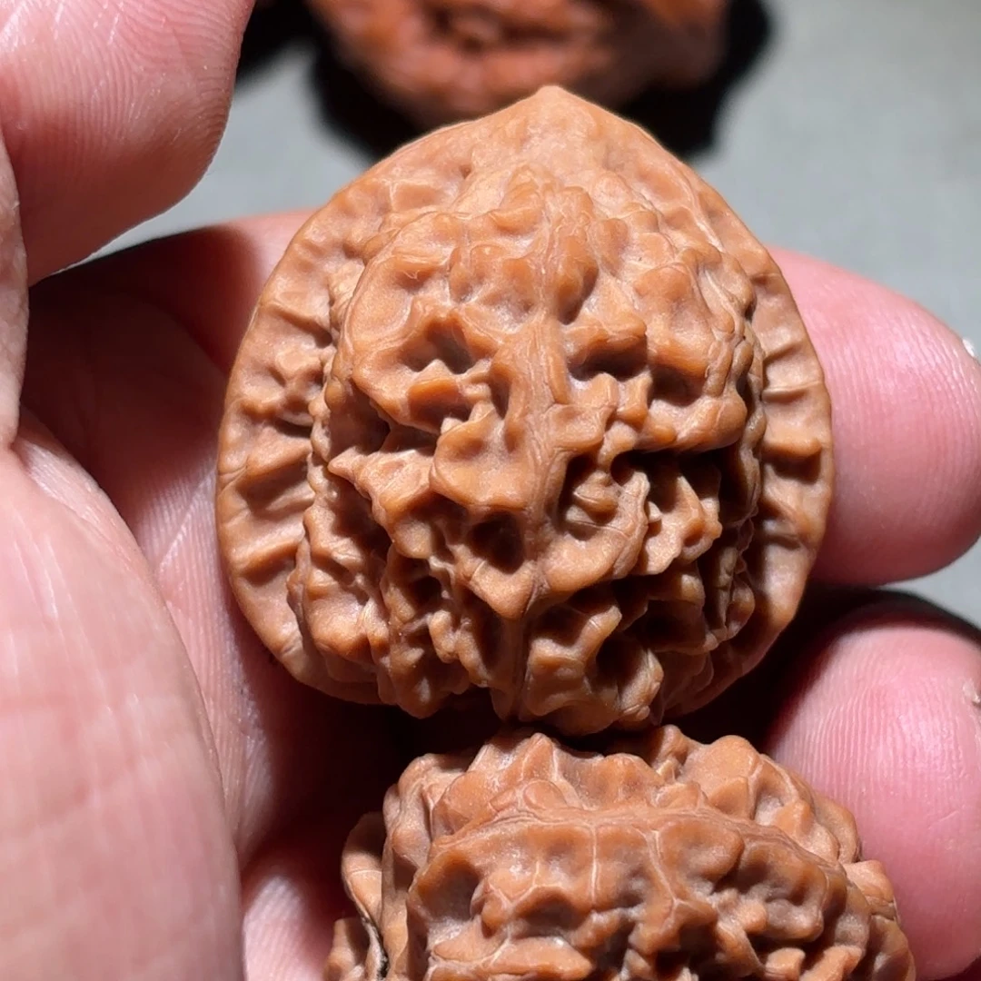 桃核吊坠原树龙鳞马蹄