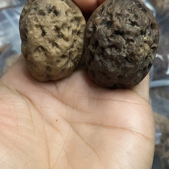 文玩核桃把件云南铁核桃基地2