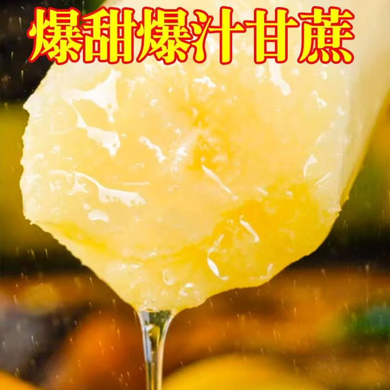 【产地直发】云南新鲜现摘脆皮甘蔗脆甜多汁黄皮水果甘蔗