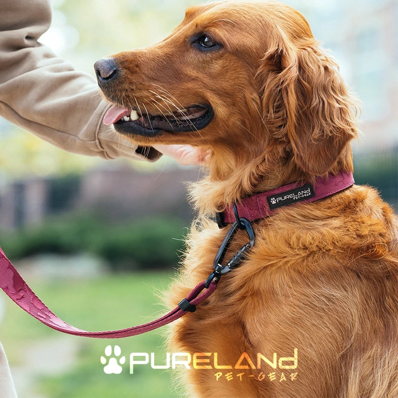 普尔兰德PET-GEAR狗狗宠物尼龙牵引绳项圈金属扣件轻户外结实耐用