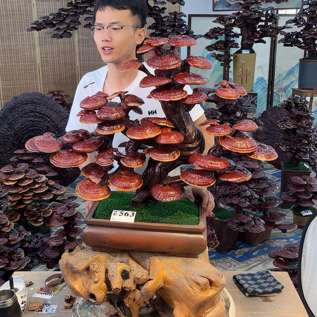 无花朵8988888888888888888888888