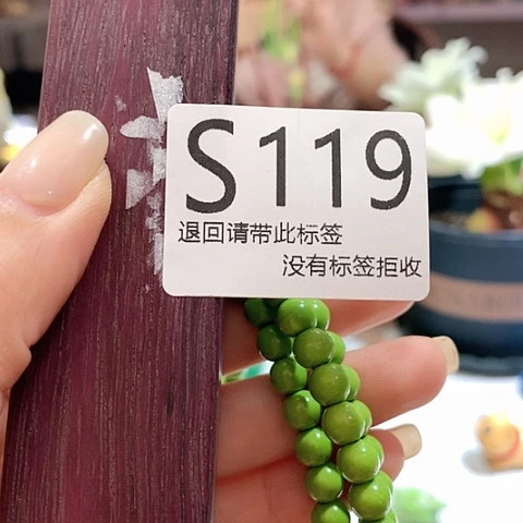 大叶紫檀（黑酸枝木类）119