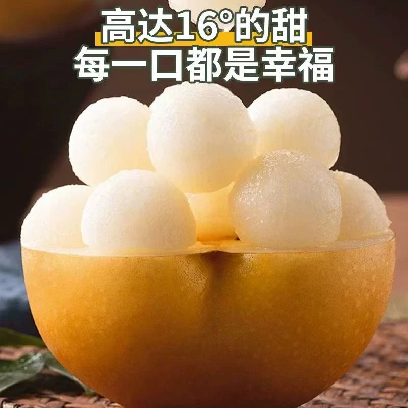 正宗秋月梨现摘现发脆甜多汁当季应季水果