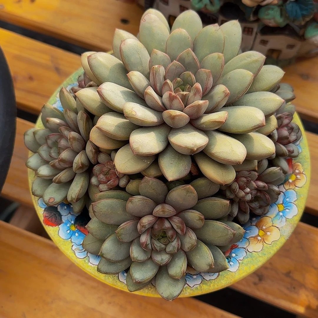 阿*他哈怕他他爸爸