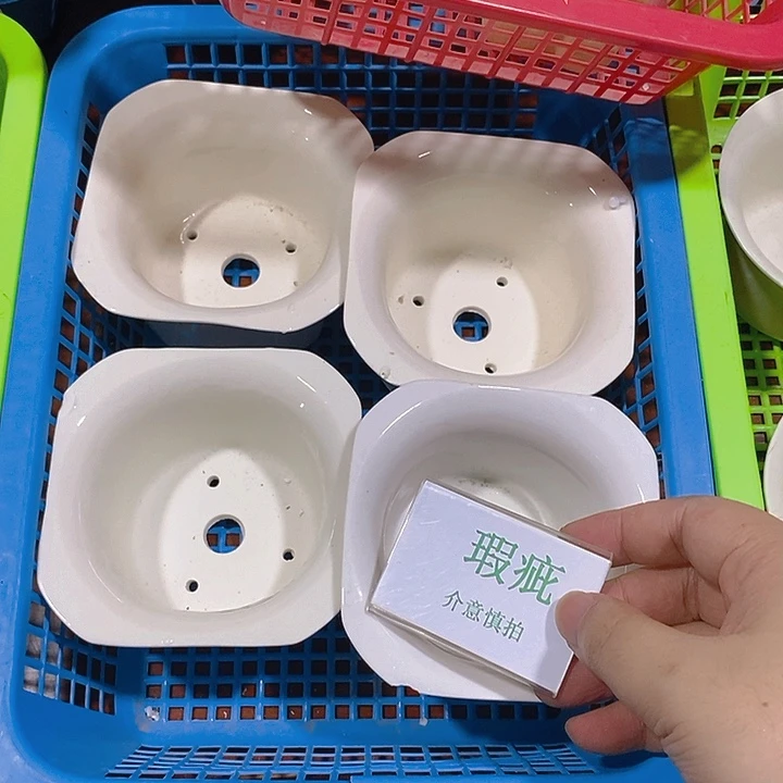 摆件多肉瑕疵盆有孔。