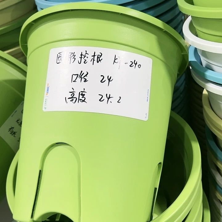 正品圆控口24高24果绿色8只无托