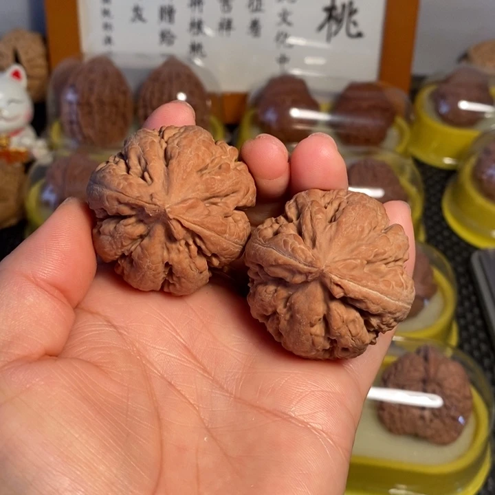 文玩核桃把件41霸王龙