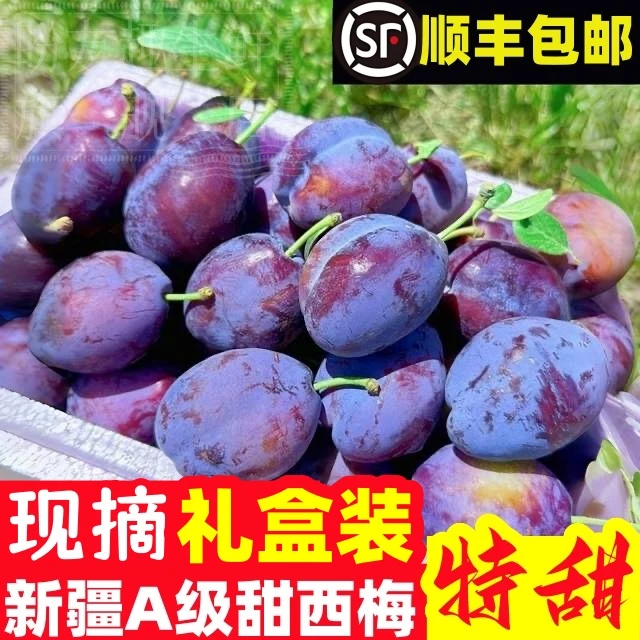 【顺丰包邮】新疆大西梅当季孕妇水果新疆蓝密西梅鲜果整箱果王-01