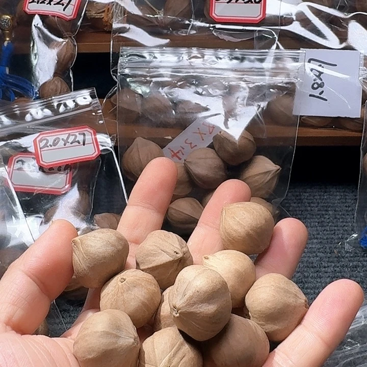 吊坠橄榄核努**斗2.5❌2.5