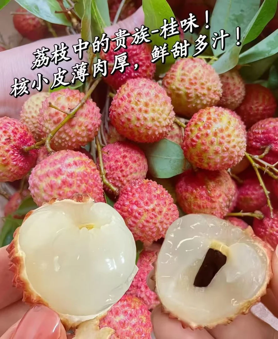 从化桂味现摘 皮薄肉厚  香甜可口