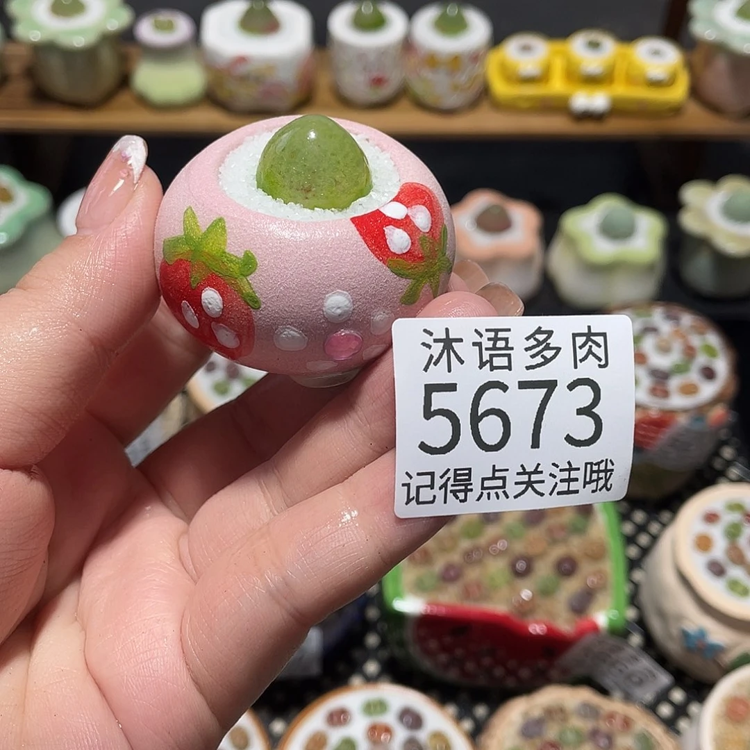 A****带盆土植物 一物一拍5673