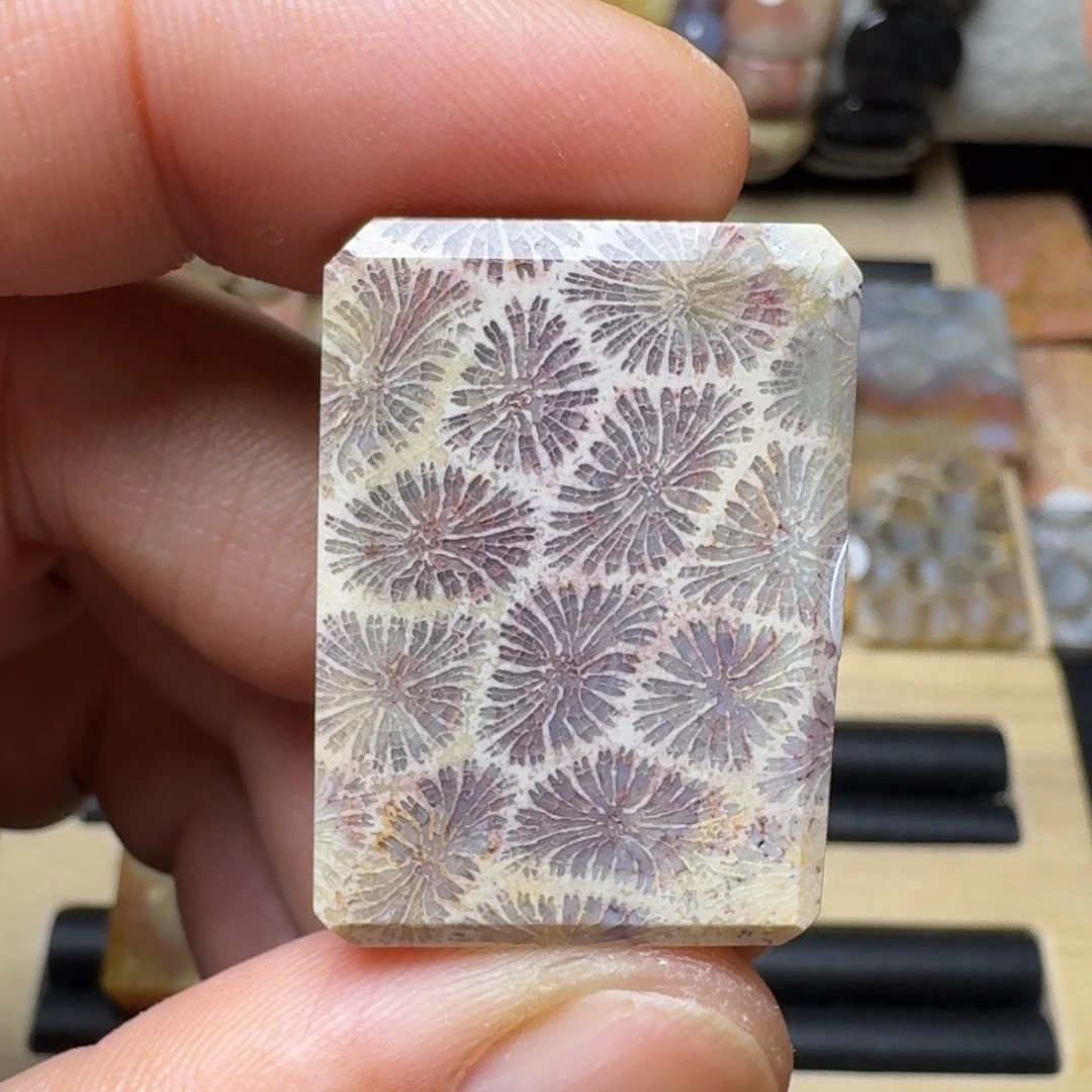 硅化玉未镶嵌纯天然色有机玉石保真色