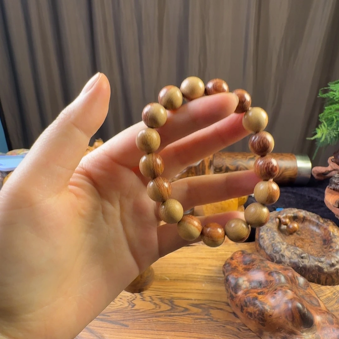 暮***云小叶羊蹄甲清香木