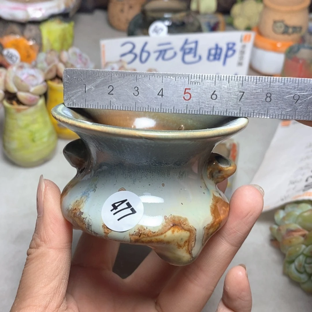 拍5送一个小礼物