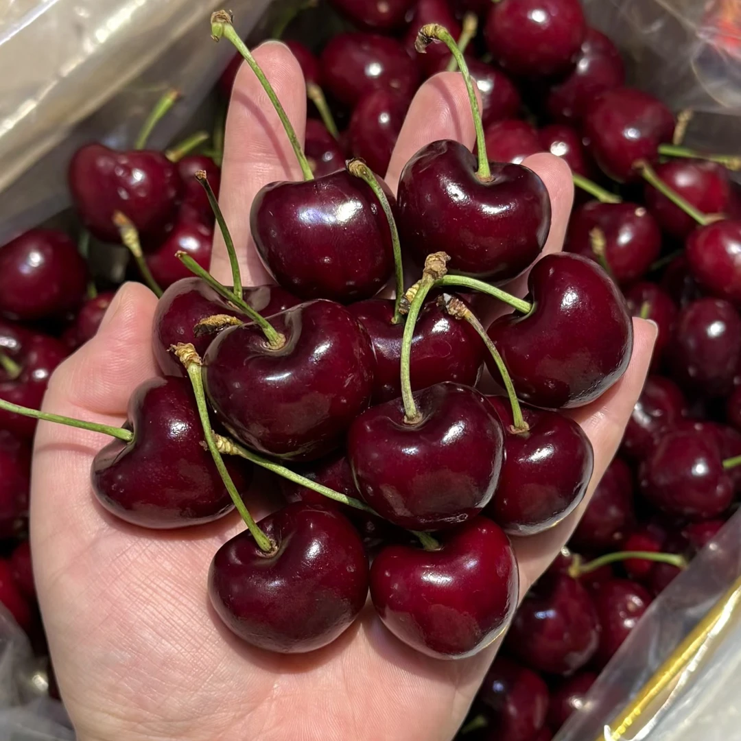 （粉丝福利）新鲜海运智利车厘子XLD2斤智利