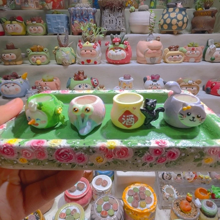 013高端多肉带盆土一套25