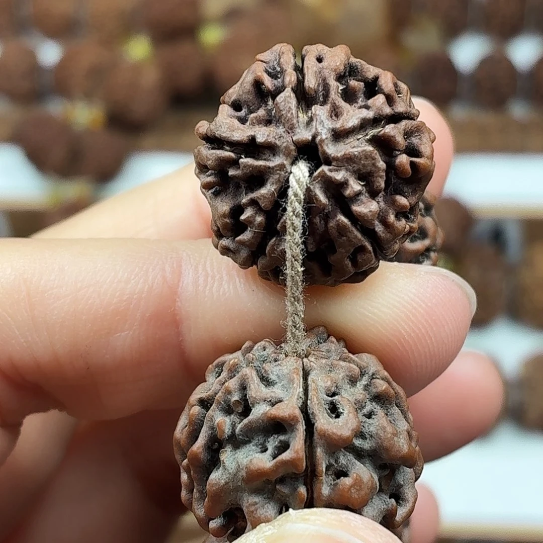 手串金刚菩提精品梅花蜂窝