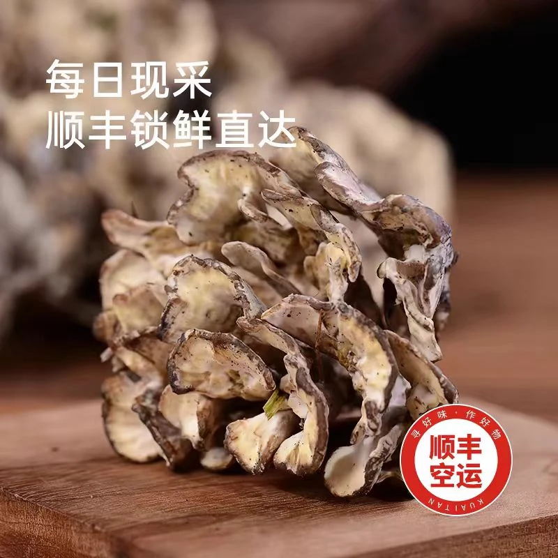 新鲜云南干巴菌热卖新鲜菌菇口感香滑