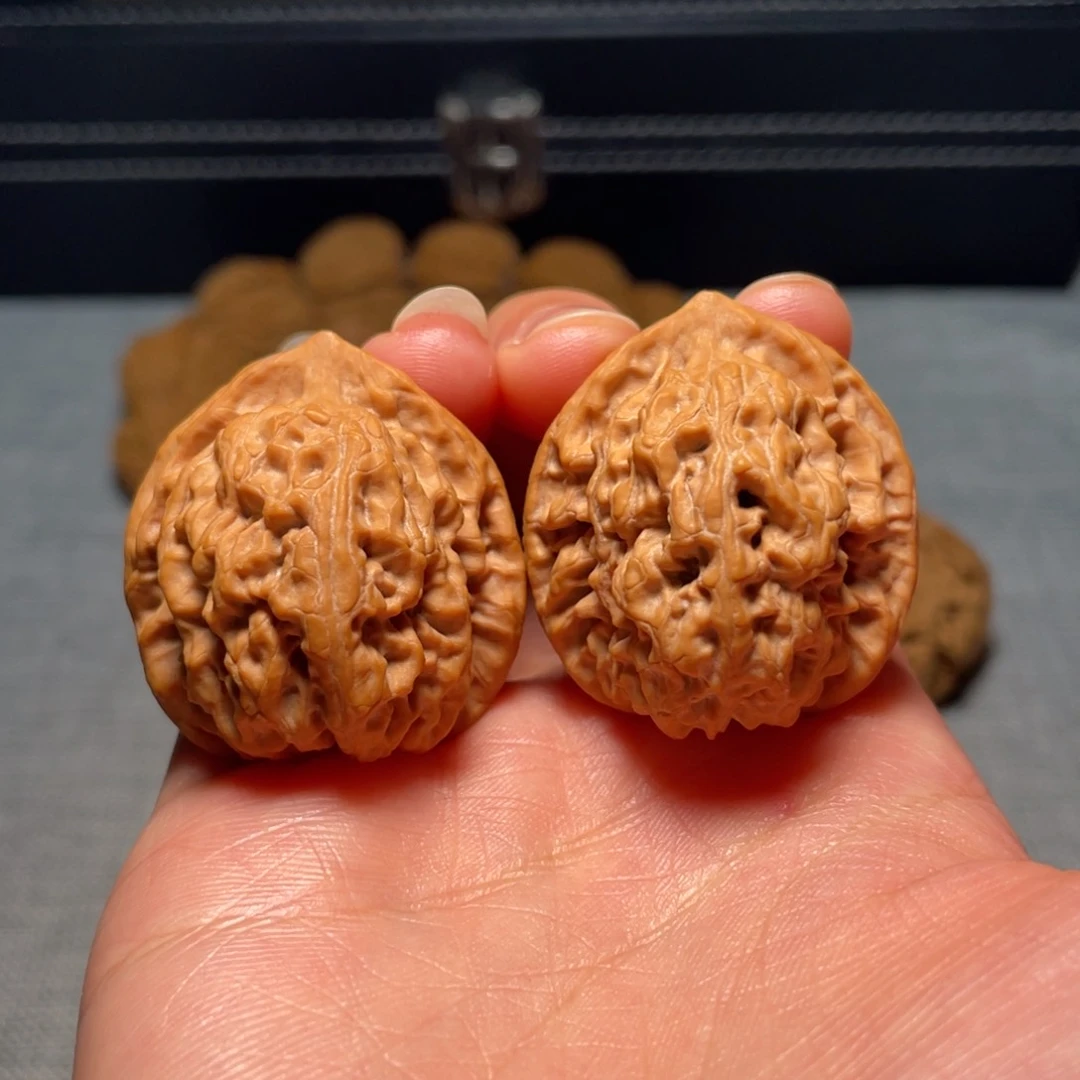 34尺全品无修秦马野生