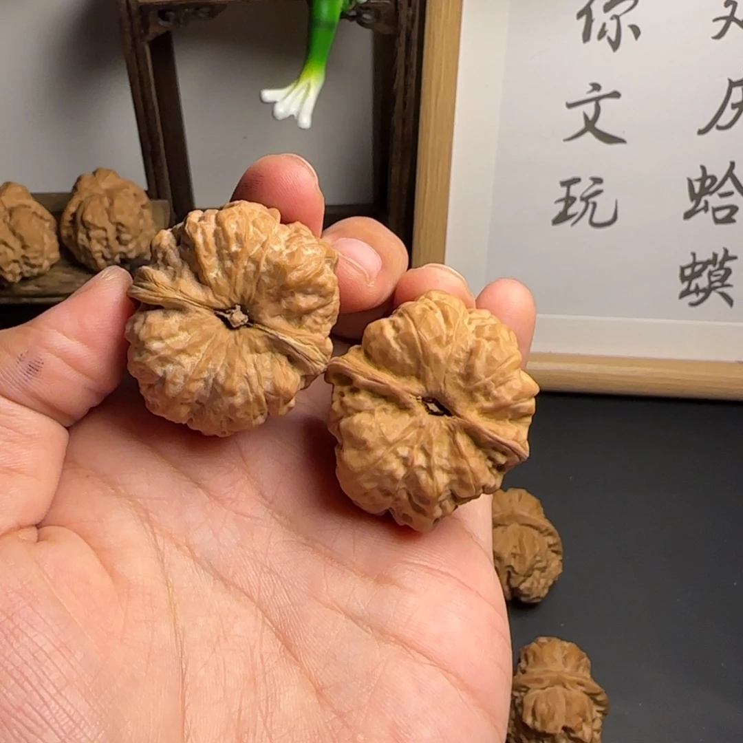 活***呱36✖️39尺红皮蛤蟆头