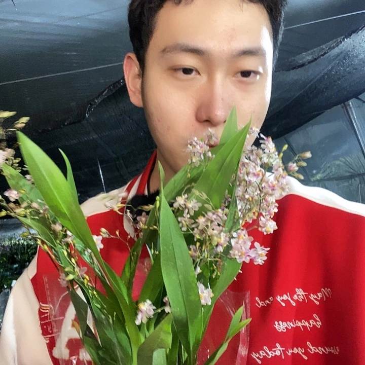 无花朵粉色温馨兰