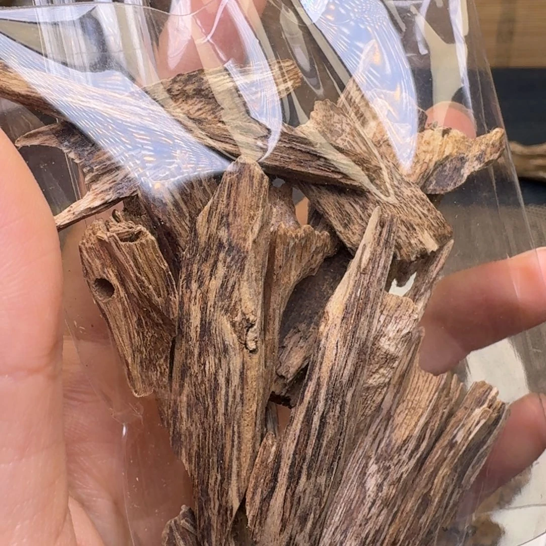 木海南尖峰岭蚁漏10.6克