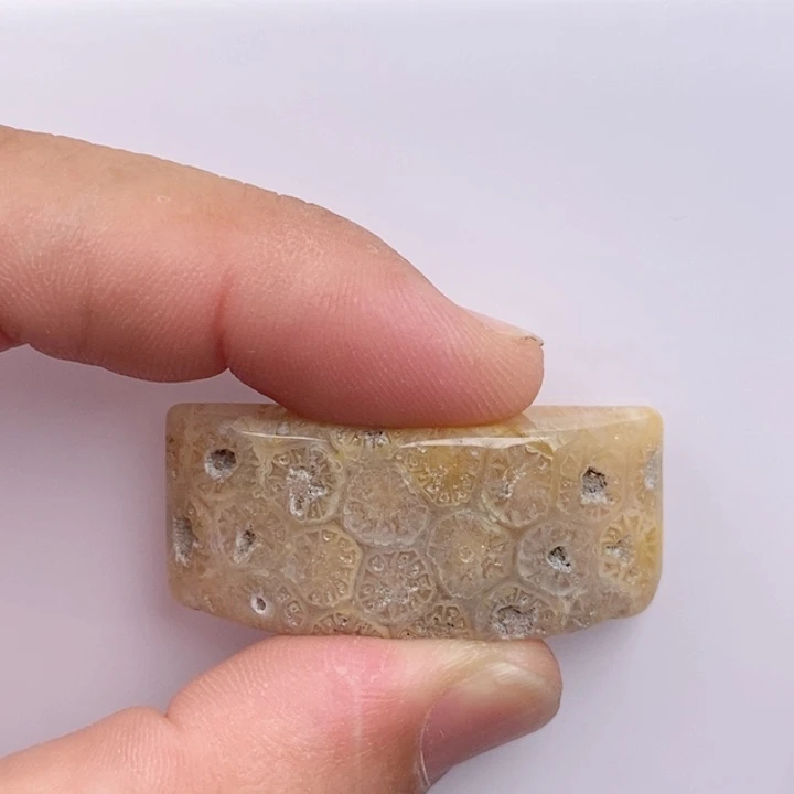 硅化玉未镶嵌颈饰