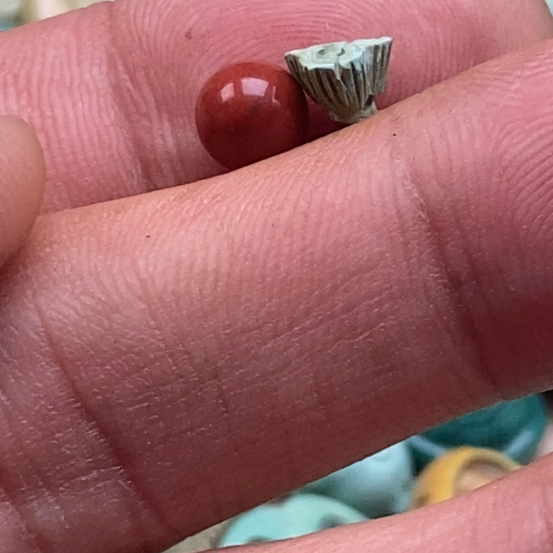 南红玛瑙未镶嵌珠宝半成品