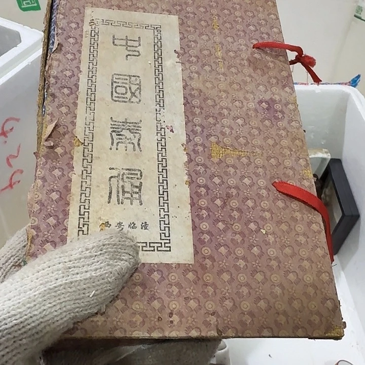 心***海扇子故呼呼呼呼呼呼呼呼呼呼